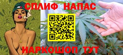 сатива Краснокаменск