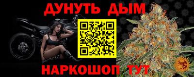 сатива Краснокаменск