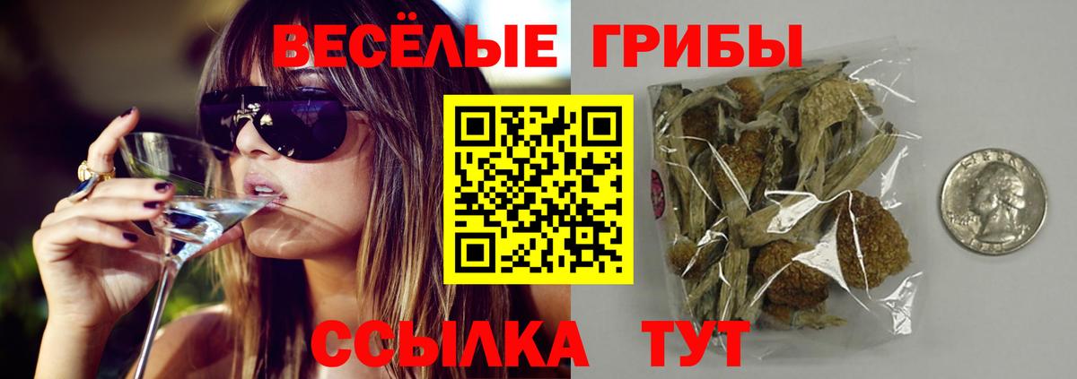 Галлюциногенные грибы Cubensis  Галлюциногенные грибы GOLDEN TEACHER  Вход с VPN  Ковров 